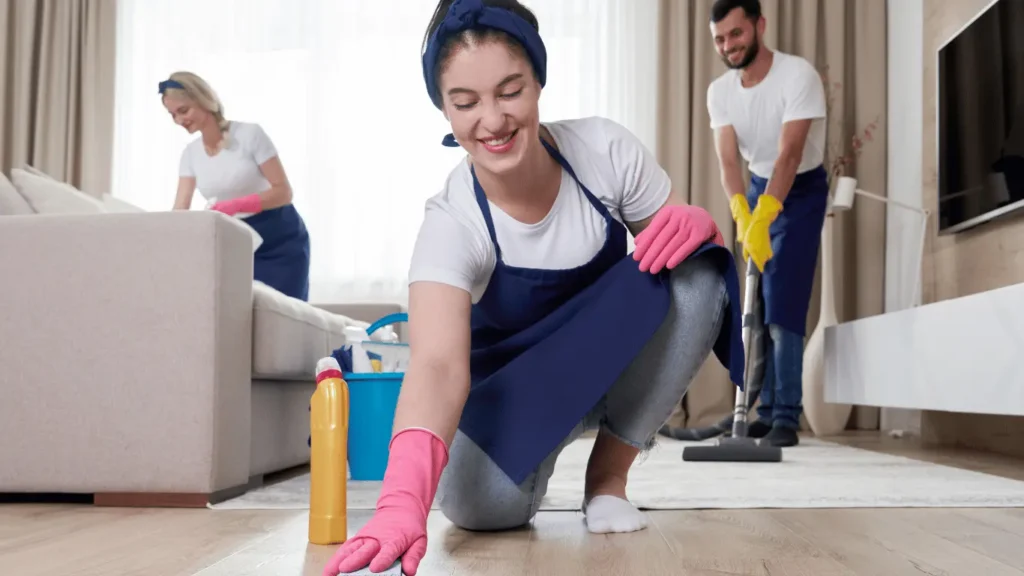 Regular House Cleaning